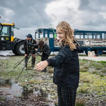 Ferienhaus 4 Star In Thyborøn